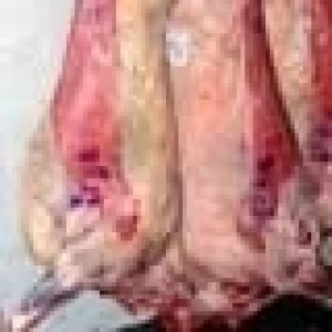 AGRICULTURA FIJÓ NORMAS PARA EXPORTAR CARNE DE CALIDAD