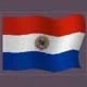 OFERTA  MILLONARIA PARA COMPRAR TODA LA CARNE DE PARAGUAY