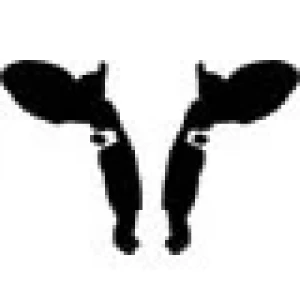 LA OIE  DECLARA A LA ARGENTINA LIBRE DE "VACA LOCA"