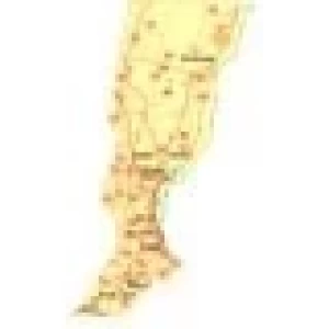 CHAU BRUCELOSISIS