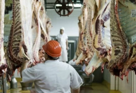 ARGENTINA: EL GOBIERNO PREPARA UN “MERCADO ABIERTO DE CARNE” CON ESTADOS UNIDOS