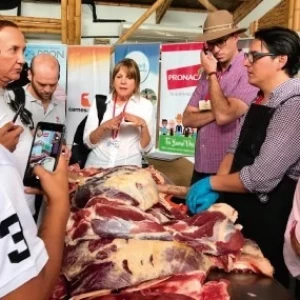 SE REALIZÓ LA 2ª JORNADA DE INTEGRACIÓN DE LA CADENA DE VALOR DE LA CARNE ECUATORIANA