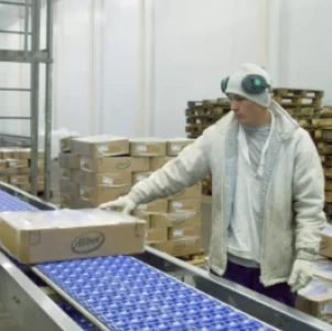 CHINA HABILITA NUEVAS PLANTAS AVIARES PARA EXPORTACIÓN