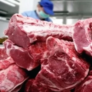 ESTADOS UNIDOS HABILITÓ 5 NUEVOS FRIGORÍFICOS PARA EXPORTAR CARNE VACUNA