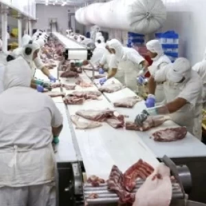 SALIÓ EL PRIMER EMBARQUE DE CARNE PORCINA DE ALTO VALOR AGREGADO A CHINA