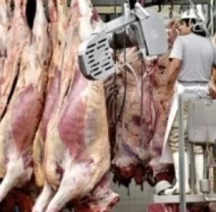 LAS LECCIONES DE ARGENTINA PARA EXPORTAR CARNE DE RES A CHINA