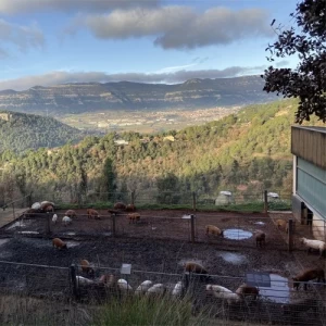 Salgot, la sustentabilidad hecha granja