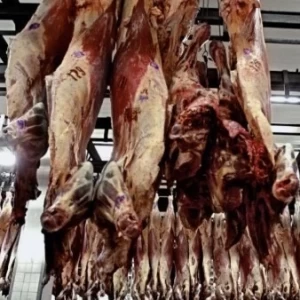 Las exportaciones de carne en 2019 fueron las mayores de los últimos 50 años