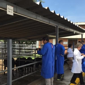 El Coronavirus y su relación con la salud animal, el ecosistema y la producción de alimentos