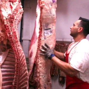 Coronavirus: Afirman que es Normal la Producción para el Abastecimiento de Carnes, Harina y Leche