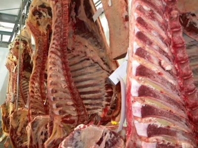  EGIPTO EN LA MIRA: PARAGUAY QUIERE EXPORTAR SU PRESTIGIOSA CARNE AL MERCADO ARABE