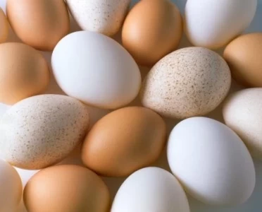 HUEVOS / OVOPRODUCTOS: RECALCULANDO PARA SEGUIR CRECIENDO