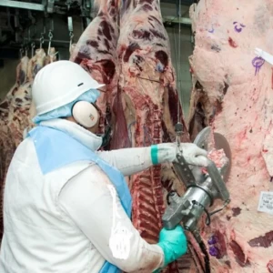 Informe IPCVA: Carne y Covid