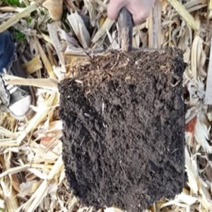 FAO aprobó protocolo para la captura de carbono en suelos agrícolas y ganaderos