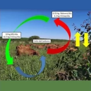 AFoA realizó seminario sobre bonos de carbono y la ganadería silvopastoril