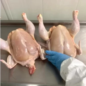 Importancia de los controles de calidad durante los procesos de producción