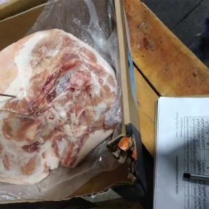 Bioseguridad en granjas porcinas