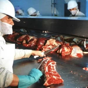 LAS IMPORTACIONES MUNDIALES DE CARNE DISMINUIRÁN EN 2021