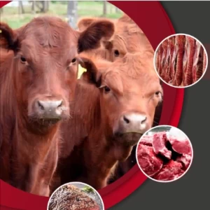 1° Edición de “Diplomatura Especializada en Calidad de Res y Carne bovina“