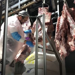 Llegan 87 rabinos de Israel a frigoríficos argentinos