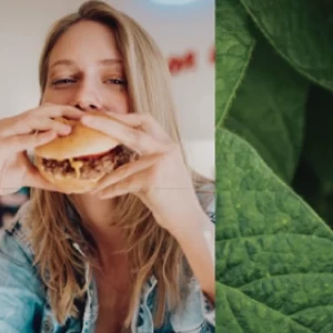 Alimentos basados en plantas, un desafío para el sector cárnico
