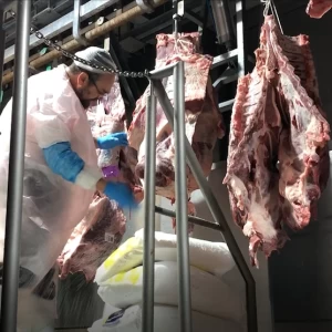 Mercados: Demanda “halal” y “kosher”, dos nichos rentables
