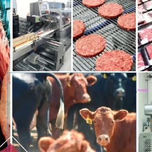 1ª Jornada de Ciencia y Tecnología aplicada en Carne Bovina