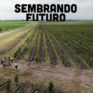 Grupo Motta inauguró el Proyecto de Riego Forestal y Efluente Cero