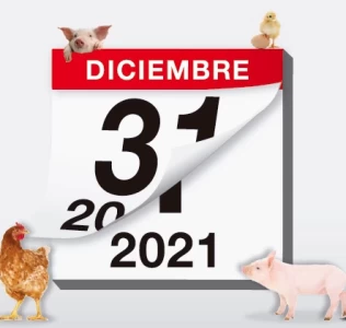 Lo que la pandemia nos dejó