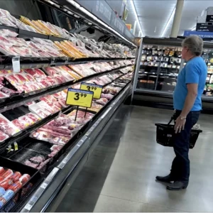 Informe: La industria cárnica entre la pandemia y desafíos de producción