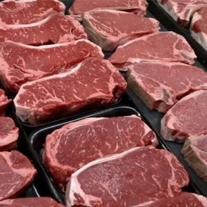 El IPCVA publicó su informe de exportaciones de carne vacuna de diciembre de 2020