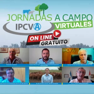 Reviva en video la jornada a campo virtual del IPCVA en Reconquista