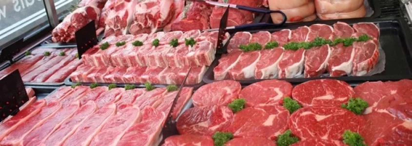 ARGENTINA: CON CARNICERIAS SALUDABLES SE PREVIENEN ENFERMEDADES DE TRANSMISION POR ALIMENTOS