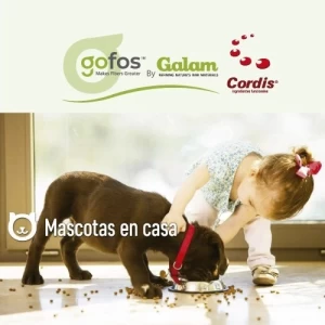 GOFOS ™ contribuye a que los alimentos sean más saludables para las mascotas