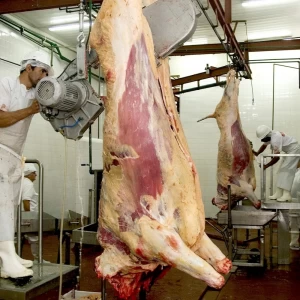 La cadena cárnica entrerriana alerta sobre los efectos de las restricciones a las exportaciones