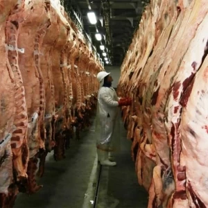 Los matarifes exigen definiciones sobre el cepo a las exportaciones