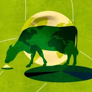 Alltech presentó los resultados de su encuesta global sobre la producción de alimento balanceado