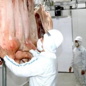 Comercialización: China, un mercado central para Argentina