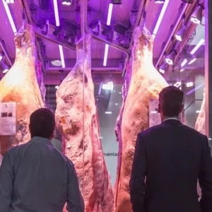 Intercarn se consolida como hub internacional para la comercialización de productos cárnicos