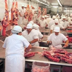 Cinco soluciones tecnológicas europeas para la descarbonización de la industria cárnica argentina 