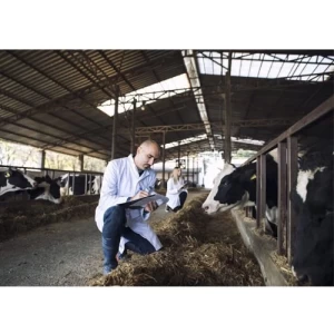 Seguridad agroalimentaria, crisis e impactos en la salud pública