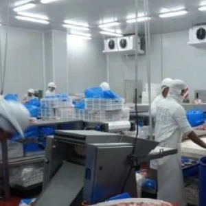 Herramientas para convertirse en una Empresa Alimentaria Eficiente