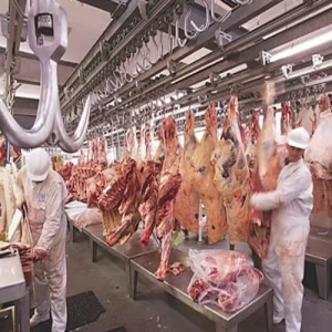 Las exportaciones argentinas de carne vacuna a China siguen creciendo y baten récords