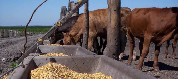 ARGENTINA: FRIGORÍFICO VENDE CARNE SANTIAGUEÑA EN LA FERIA MUNDIAL ANUGA 2015