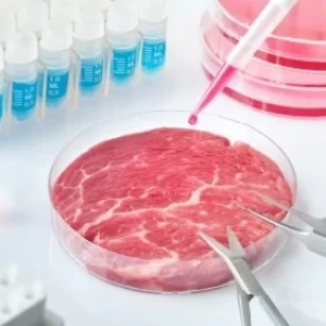 4 retos tecnológicos para la transformación de carne de laboratorio a escala industrial