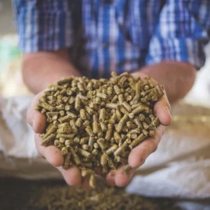 Alltech presentó los resultados de su encuesta global sobre la producción de alimento balanceado