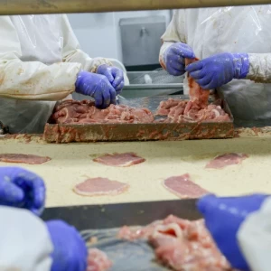 La faena y la producción de carne porcina fueron récord en 2022