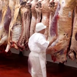 Implementación de un programa de reducción de patógenos en la industria frigorífica bovina