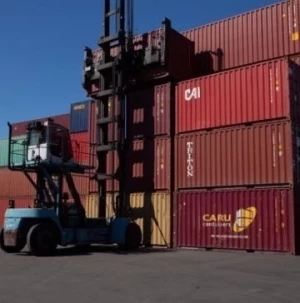 Influenza Aviar: Argentina reabrió el comercio de productos frescos aviares con Uruguay