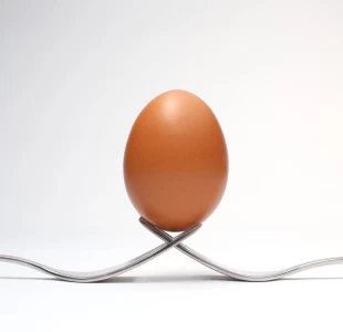 Desarrollo de huevos fortificados con selenio y ácidos grasos omega 3